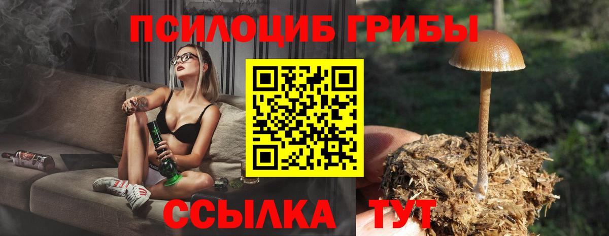 Асино  где купить   Вход с VPN  Псилоцибиновые грибы Magic Shrooms 