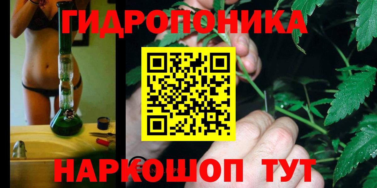 APVP Асино